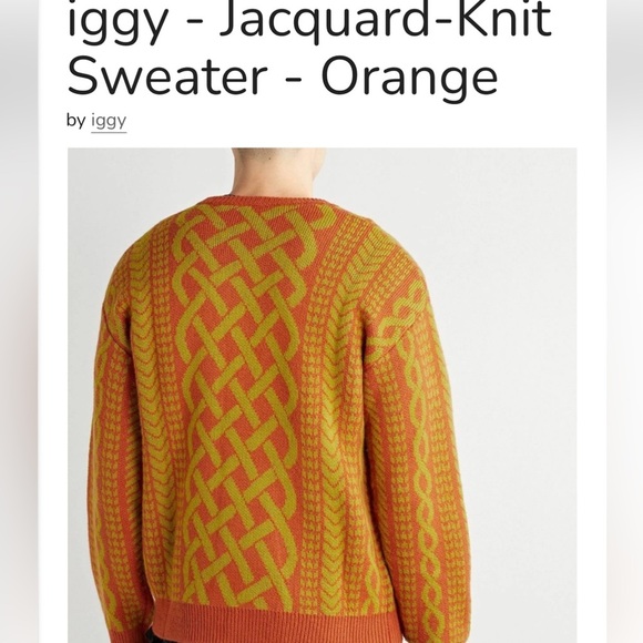Mens Sweater Jacquard Sweater Cable Knit Sweater NWT Iggy NYC Medium - Picture 3 of 11